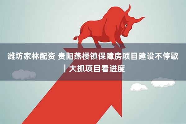 潍坊家林配资 贵阳燕楼镇保障房项目建设不停歇｜大抓项目看进度